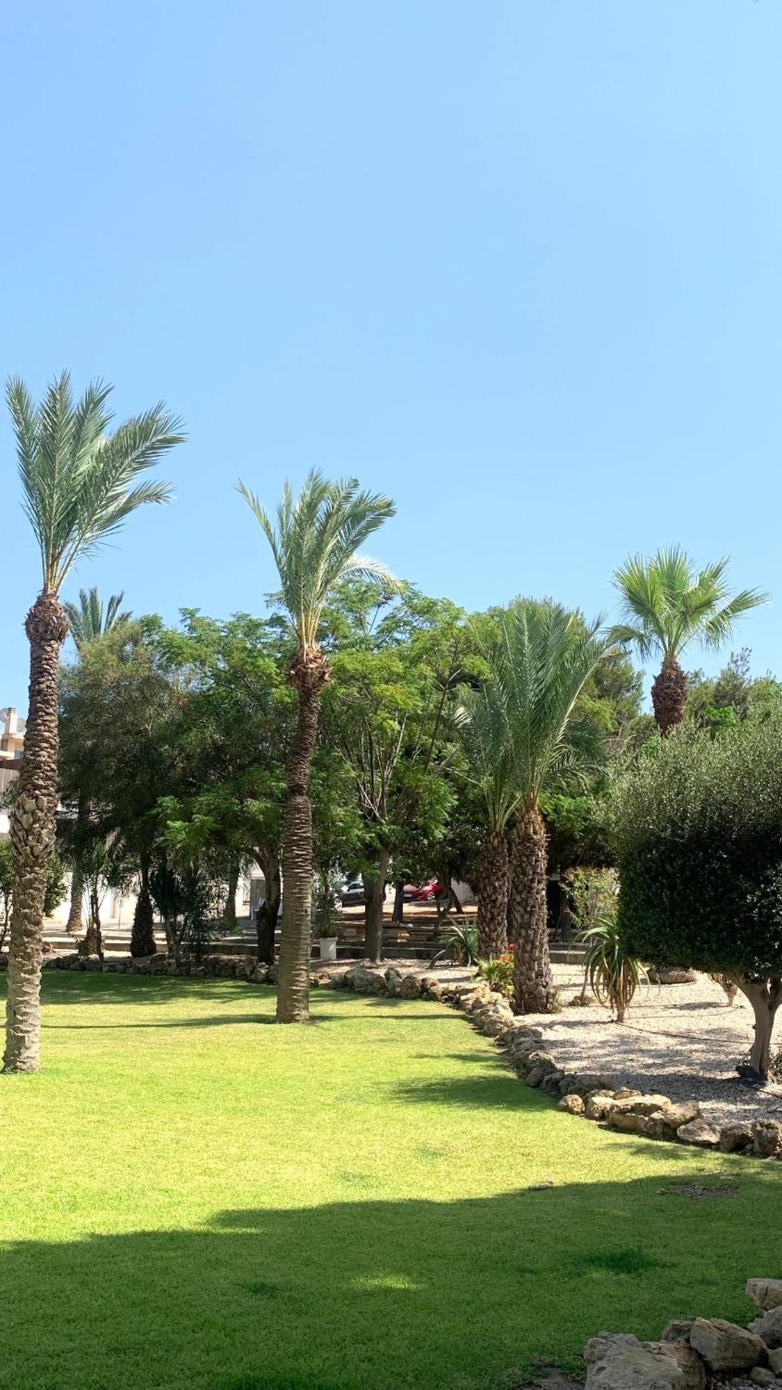 Lagovista45 Torrevieja Eksteriør billede