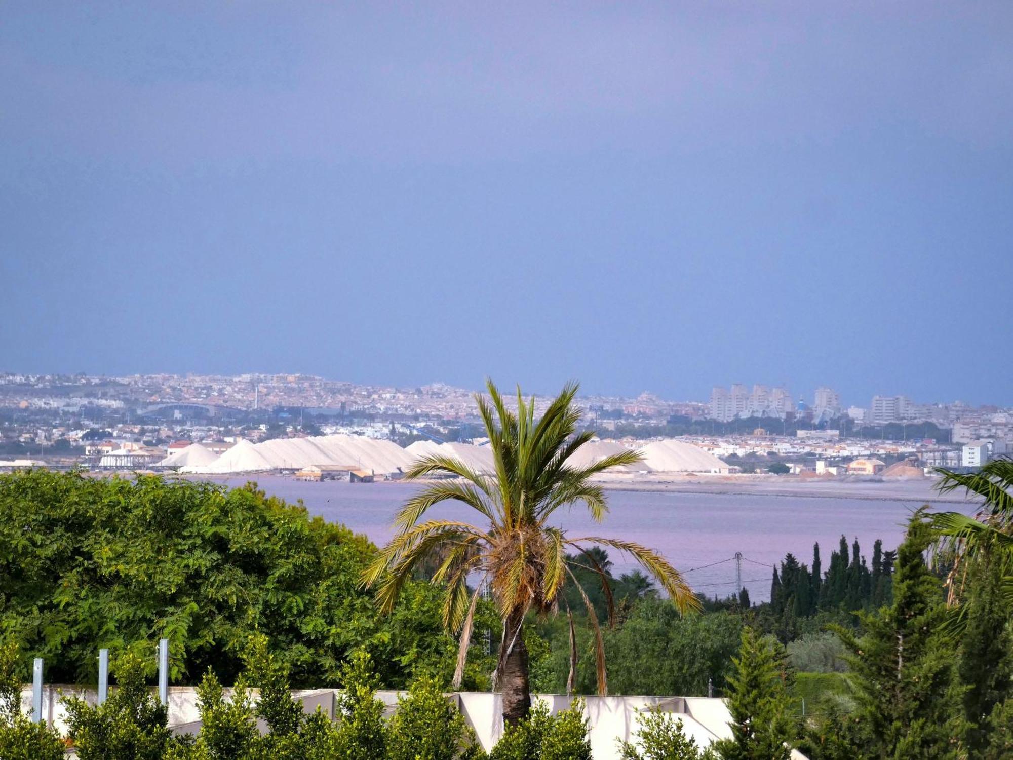 Lagovista45 Torrevieja Eksteriør billede